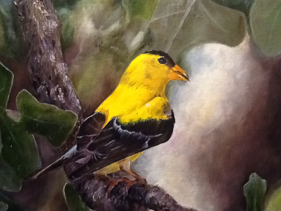 Oil painting of male Goldfinch