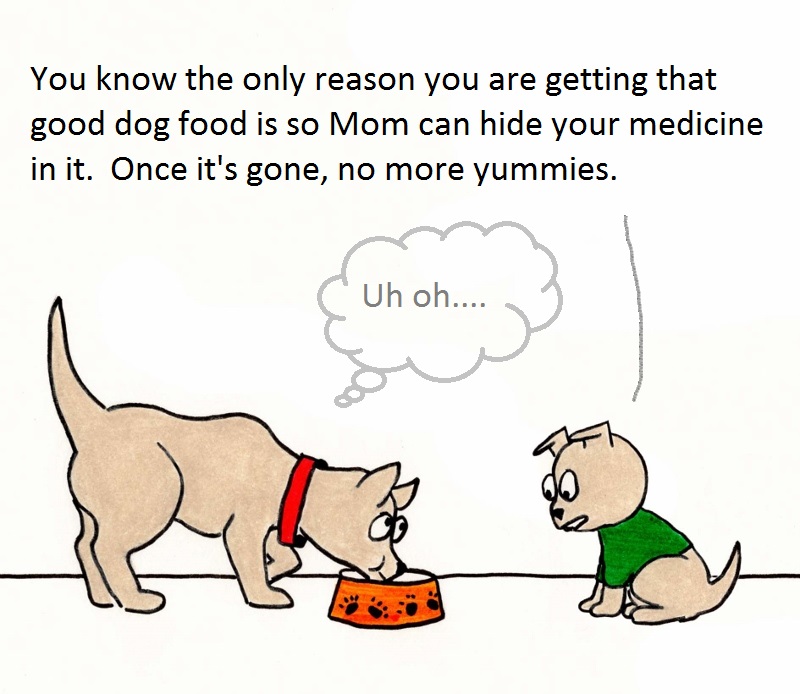 You know the only reason you are getting that good dog food is so Mom can hide your medicine in it. Once its gone, no more yummies. Uh oh....