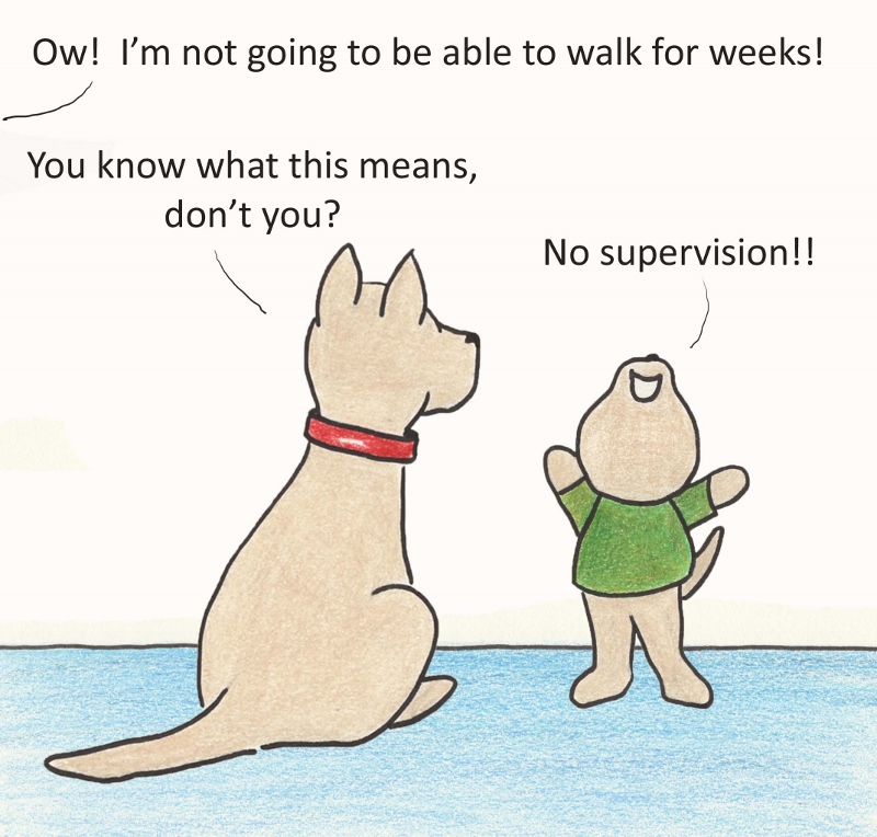 Ow! I'm not going to be able to walk for weeks! You know what this means, don't you? No supervision!