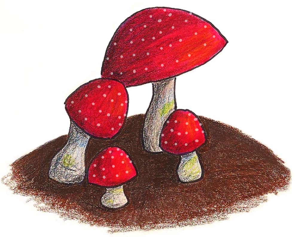 Bright red mushrooms
