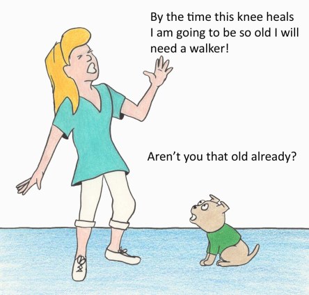 By the time this knee heals, I am going to need a waleker.  Aren't you that old already?