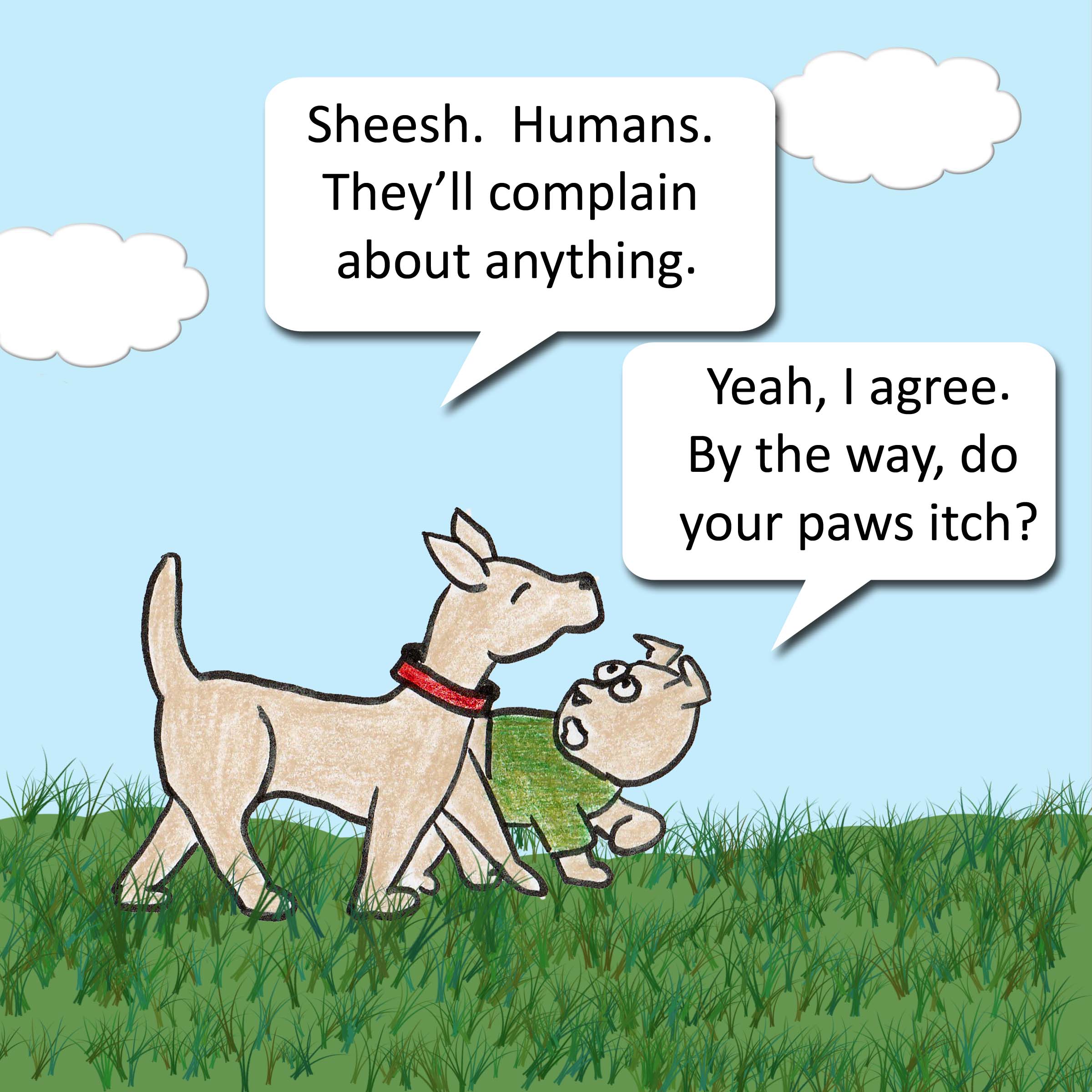 Sheesh. Humans. They'll complain about anything. Yeah, I agree. By the way, do your paws itch?